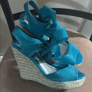Stylish Teal Wedge Sandals